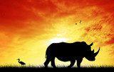 Rhino at sunset  Afryka Fototapeta