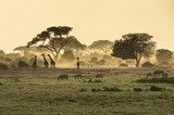 Silhouette di giraffe  Afryka Fototapeta