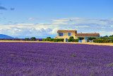 Provence rural landscape  Prowansja Fototapeta