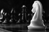 white knight chess piece  Czarno Białe Obraz
