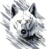 vector wolf  Drawn Sketch Fototapeta
