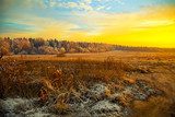 Field, forest, dry grass - beautiful landscape at sunset  Krajobrazy Obraz