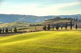 Artistic Tuscan landscape with cypresses, wavy fields and house  Krajobrazy Obraz