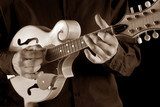 mandolin player,sepia image  Muzyka Obraz