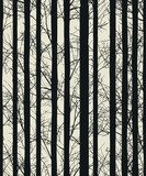 Kreskówkowe drzewa w czerni i bieli Styl skandynawski Fototapeta