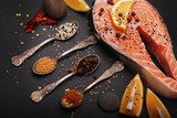 Fresh salmon and spices  Obrazy do Kuchni  Obraz