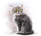 Adorable fluffy kitten, pet, cat animal paint  Obrazy do Pokoju Dziecka Obraz