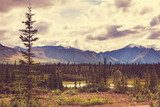 Twoja mała własna Alaska Fototapety Góry Fototapeta