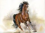 Running horse  Zwierzęta Plakat