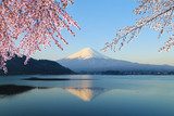 Mount Fuji, view from Lake Kawaguchiko  Fototapety Góry Fototapeta