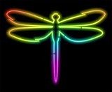 Dragonfly Psychedelic Neon Light-Libellula Colore Psychedelico Fototapety Neony Fototapeta