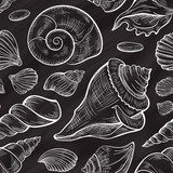 Vector seashells seamless pattern. Chalkboard style. Styl Marynistyczny Fototapeta