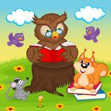 owl reading a book for animals - vector illustration, eps Fototapety do Przedszkola Fototapeta