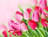 spring pink tulips bouquet Kwiaty Obraz