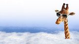 Funny giraffe with sunglasses coming out of the clouds Zwierzęta Plakat