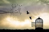 Cage for bird at sunset Zwierzęta Plakat