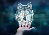 Person holding fractal endangered wolf illustration 3D rendering Zwierzęta Plakat