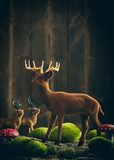 Reindeer Zwierzęta Plakat