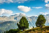 Zillertal Alps in Austria Fototapety Góry Fototapeta