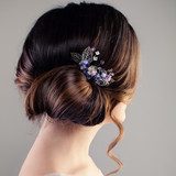 Bridal or Prom Hairstyle. Beautiful Woman with Brown Hair and Hairdeco, Back View Obrazy do Salonu Fryzjerskiego Obraz