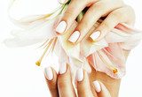 beauty delicate hands with manicure holding flower lily close up isolated on white Obrazy do Salonu Kosmetycznego Obraz