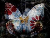 Grunge butterfly Abstrakcja Obraz