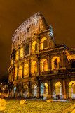 Colosseum in Rome, Italy  Architektura Plakat