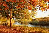 Beautiful Autumn in the park  Pejzaże Plakat