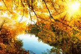 Herbstsonne am Fluss  Pejzaże Plakat