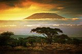 Mount Kilimanjaro. Savanna in Amboseli, Kenya  Pejzaże Plakat