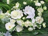 White roses on a green background  Olejne Obraz