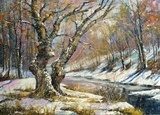 Winter landscape with wood and the river  Olejne Obraz