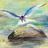 Flying seagull  Olejne Obraz