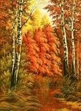 Autumn wood landscape with birches  Olejne Obraz