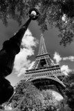 Eiffel Tower with city park  in Paris, France  Fototapety Czarno-Białe Fototapeta