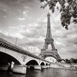 Eiffel tower view from Seine river square format  Fototapety Czarno-Białe Fototapeta