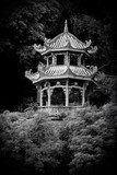Chinese pagoda  Fototapety Czarno-Białe Fototapeta