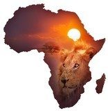 African Wildlife Map  Abstrakcja Fototapeta