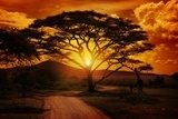 Africa Sunset  Zachód Słońca Fototapeta