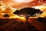 Africa Sunset  Zachód Słońca Fototapeta
