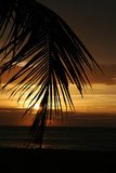 Ein Sonnenunterang am Strand von Sri Lanka  Zachód Słońca Fototapeta