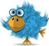 Śmiesznooki niebieski ptak Fototapety do Pokoju Dziewczynki Fototapeta