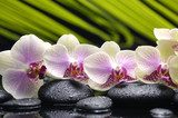 Orchidee, kamienie, piękno  Fototapety do Łazienki Fototapeta