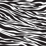 zebra pattern  Tekstury Fototapeta
