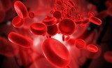 blood cells  Tekstury Fototapeta
