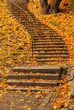 Stairs filled with colourful autumn leaves  Schody Fototapeta