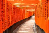 Torii gate tunnel in Kyoto, Japan   Optycznie Powiększające Fototapeta