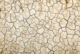 Cracked dry land without water  Mur Fototapeta