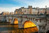 Pont neuf, Ile de la Cite, Paris - France  Architektura Obraz