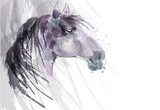 Horse head watercolor painting  Zwierzęta Obraz